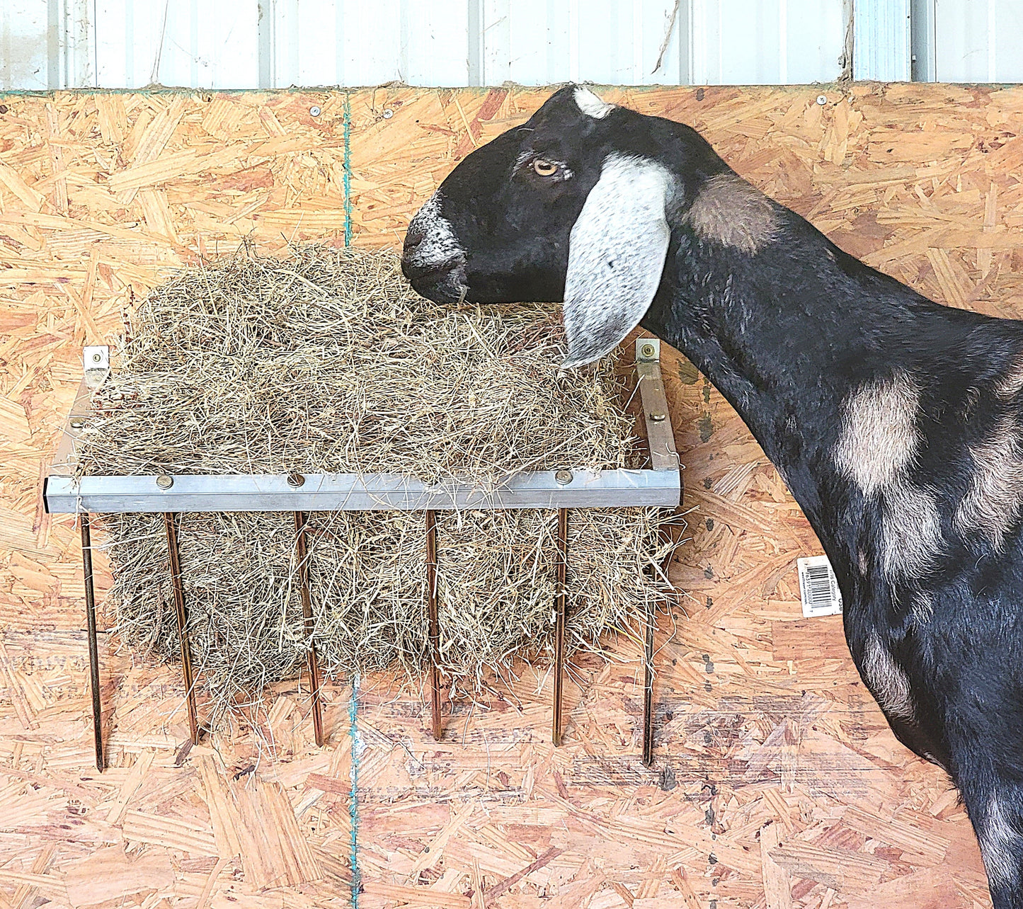 24-inch wall-mounted sheep and goat hay feeder made of USA-made aluminum, suitable for fences, stalls, and pens.