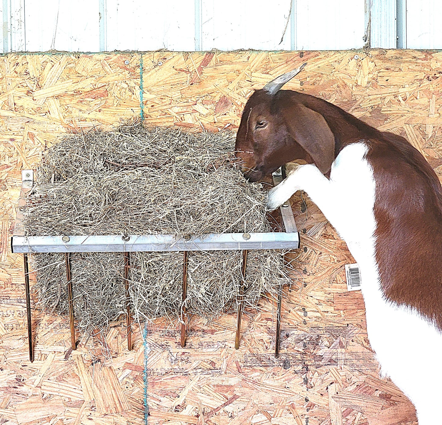 24-inch wall-mounted sheep and goat hay feeder made of USA-made aluminum, suitable for fences, stalls, and pens.