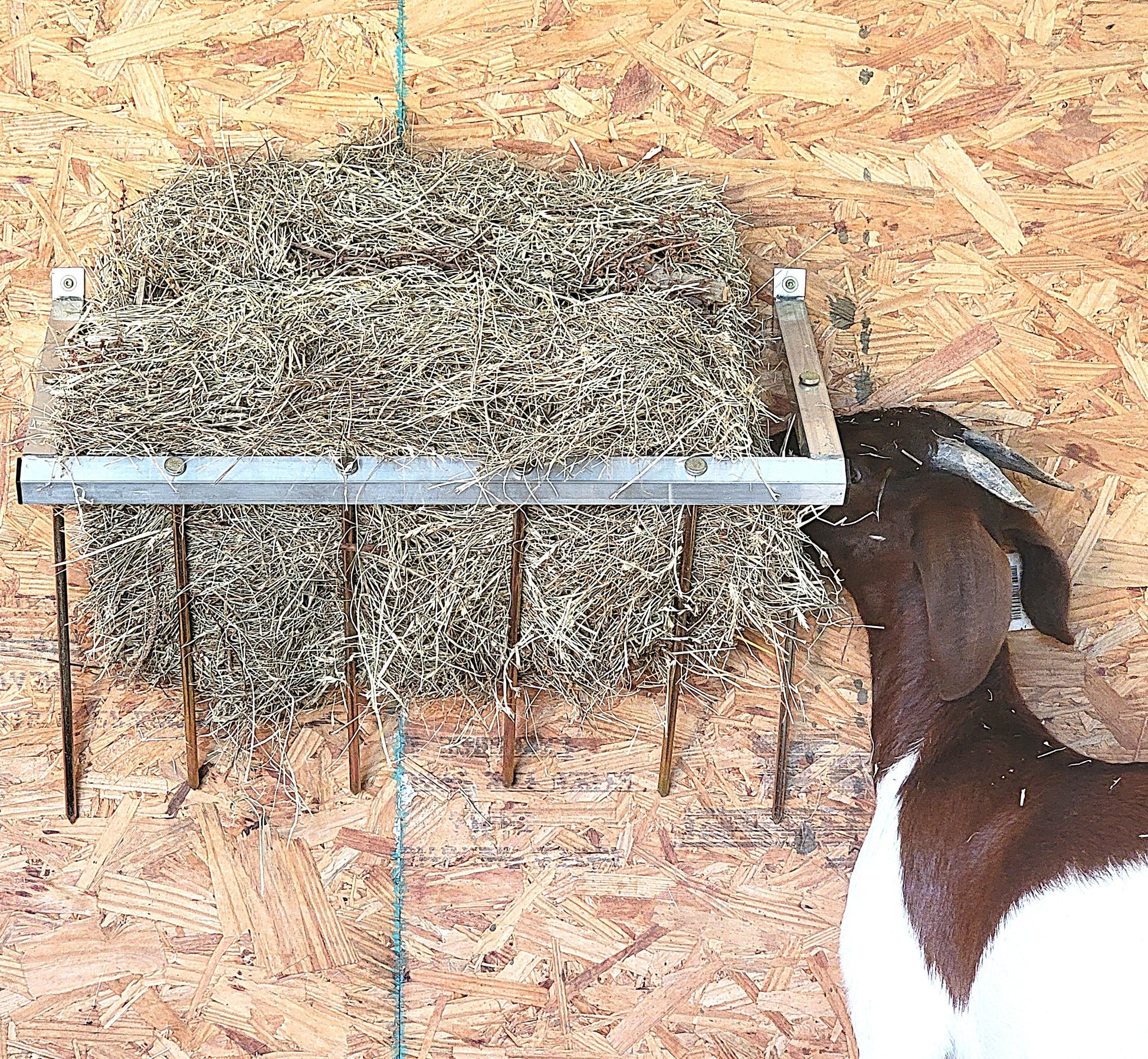 24-inch wall-mounted sheep and goat hay feeder made of USA-made aluminum, designed for fences, stalls, and pens.