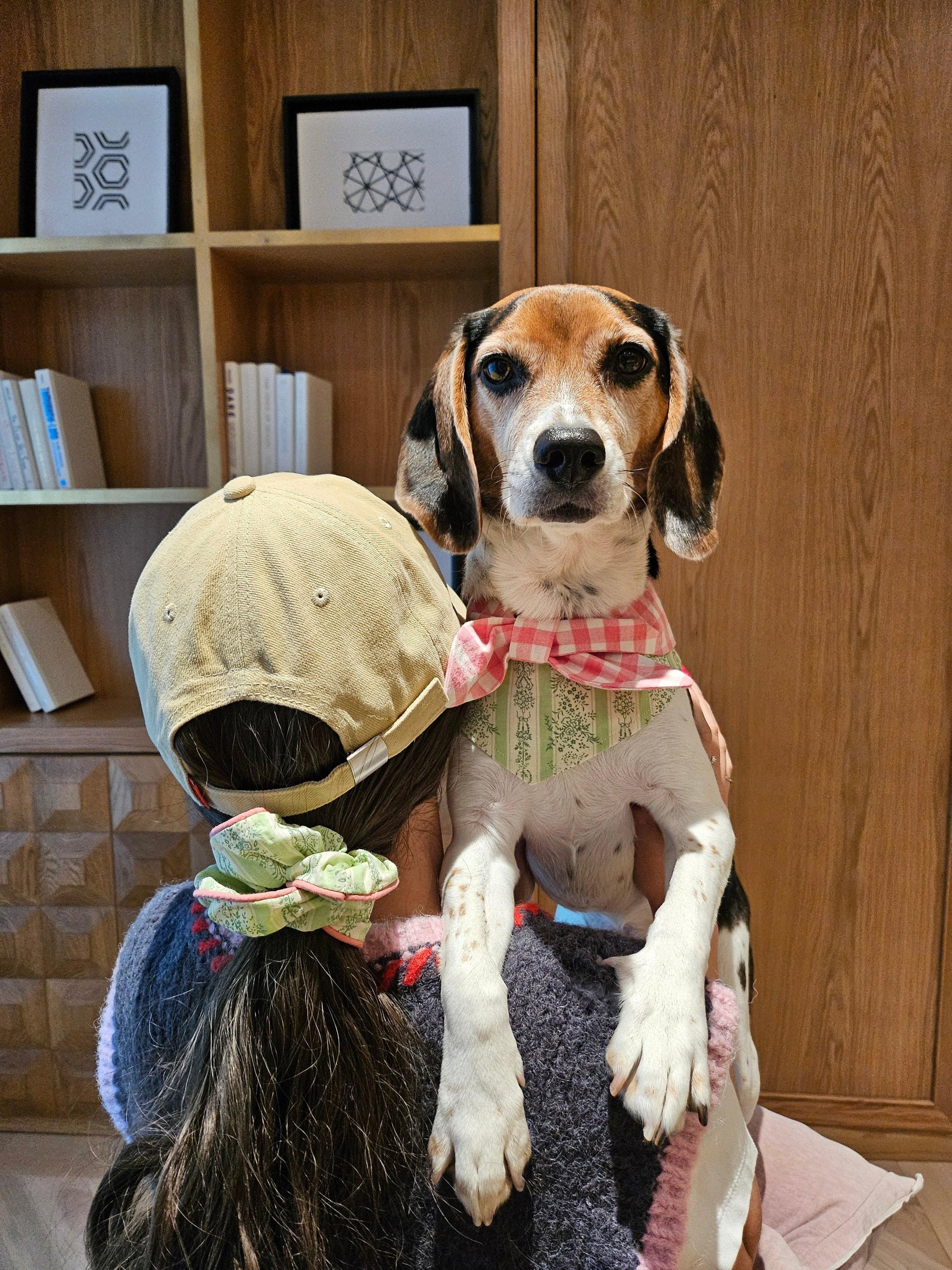 BarkBarkBaby Picnic Bliss floral gingham print bandana with pink and green flowers on classic red and white checkered fabric