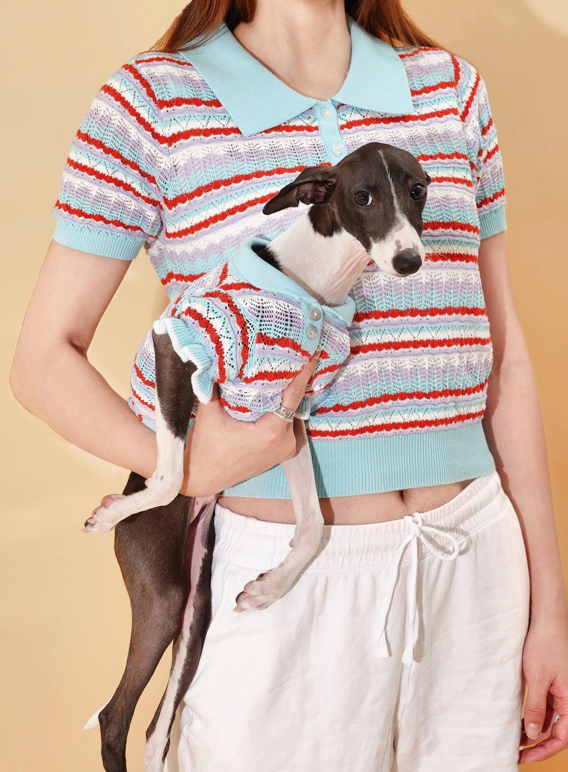 BarkBarkBaby Pet & Me spring summer blue ocean crochet short sleeve polo shirt for pets, featuring a stylish, breathable sweater design.