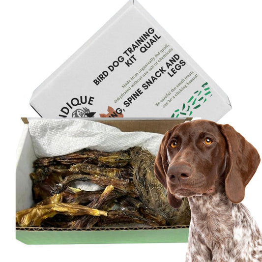 Quail Wing Dog Training Kit with nutritious dog treats and quail wing from Quailz.com, ideal for reinforcing positive behaviors in dogs.