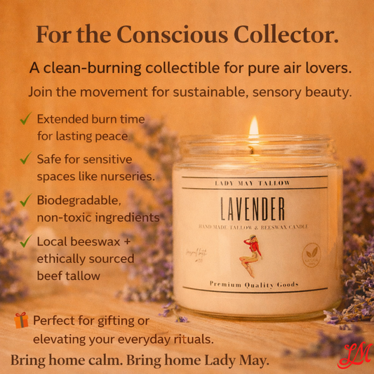 Lady May Tallow "Classic" candle in 16oz jar with beeswax, natural scents, showcasing a clean-burning, non-toxic candle with warm glow.
