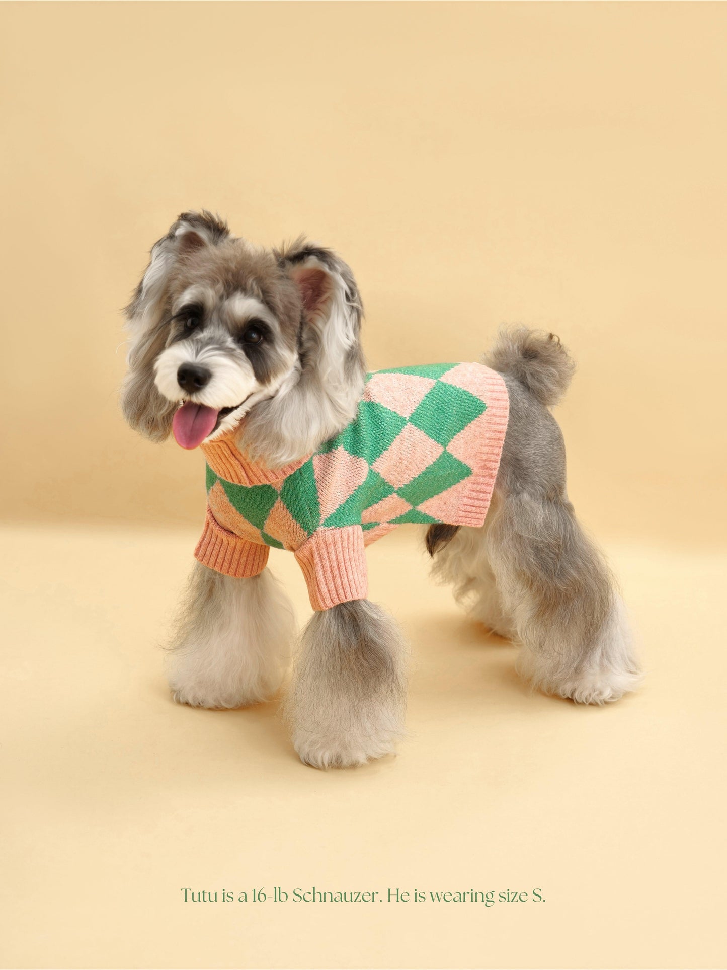 BarkBarkBaby Sunday Brunch in Brooklyn sweater, cozy knit with colorful brunch-themed design, ideal for kids' casual wear