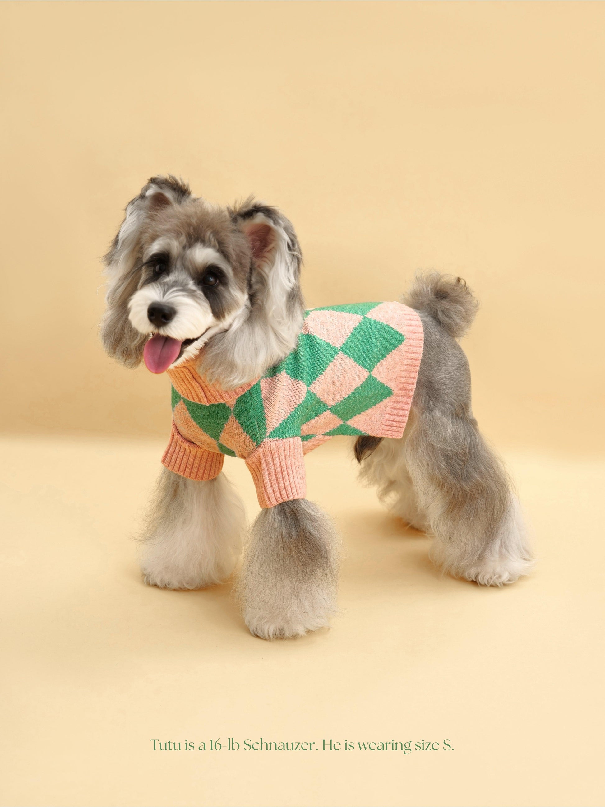 BarkBarkBaby Sunday Brunch in Brooklyn sweater, cozy knit with colorful brunch-themed design, ideal for kids' casual wear