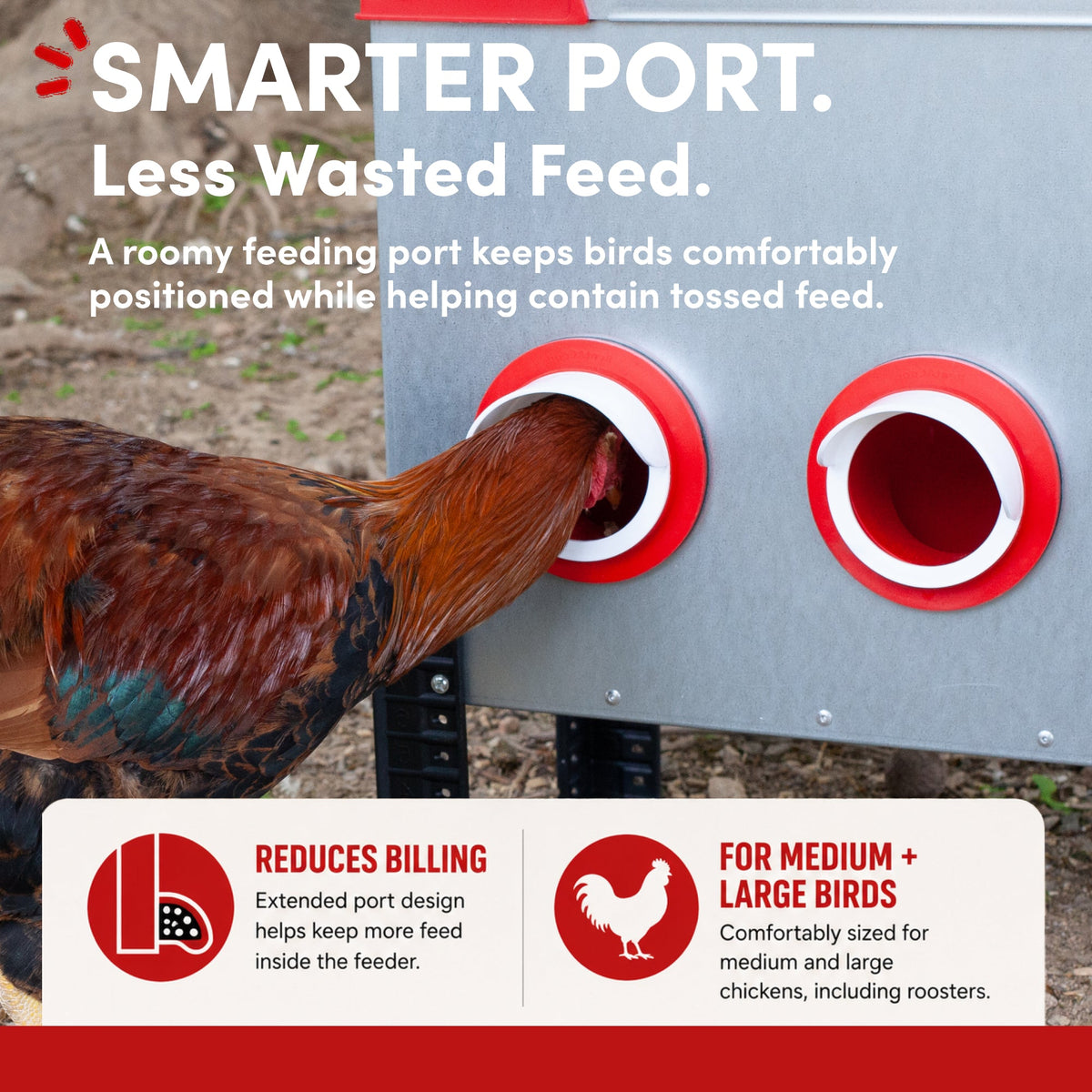 RentACoop Flock Feeder 65 6-Port feeder with multiple feeding ports, designed for poultry and farm use.