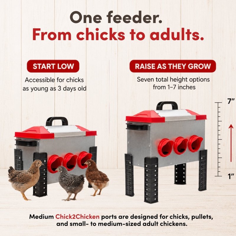 RentACoop flock feeder with 6 ports, 15lb capacity, designed for poultry feeding, shown in a clean, functional setup.