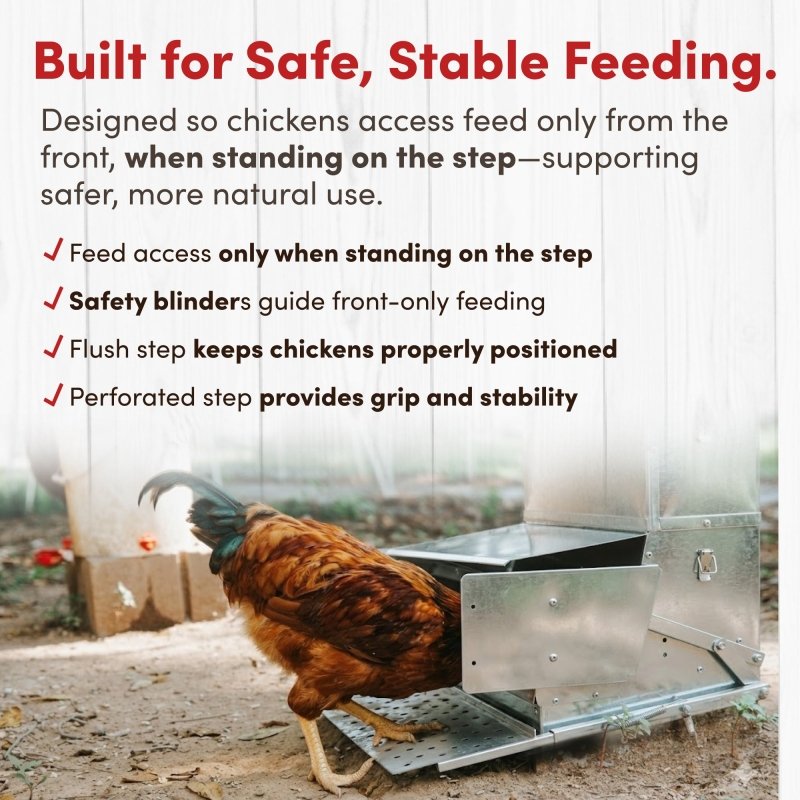 RentACoop 40 lb automatic treadle chicken feeder with metal construction, designed to provide easy, mess-free feeding for chickens.