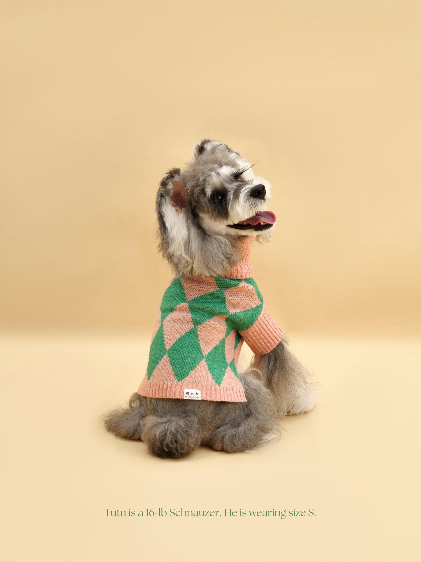 BarkBarkBaby Sunday Brunch in Brooklyn sweater featuring a cozy knit design and vibrant brunch-themed illustrations.