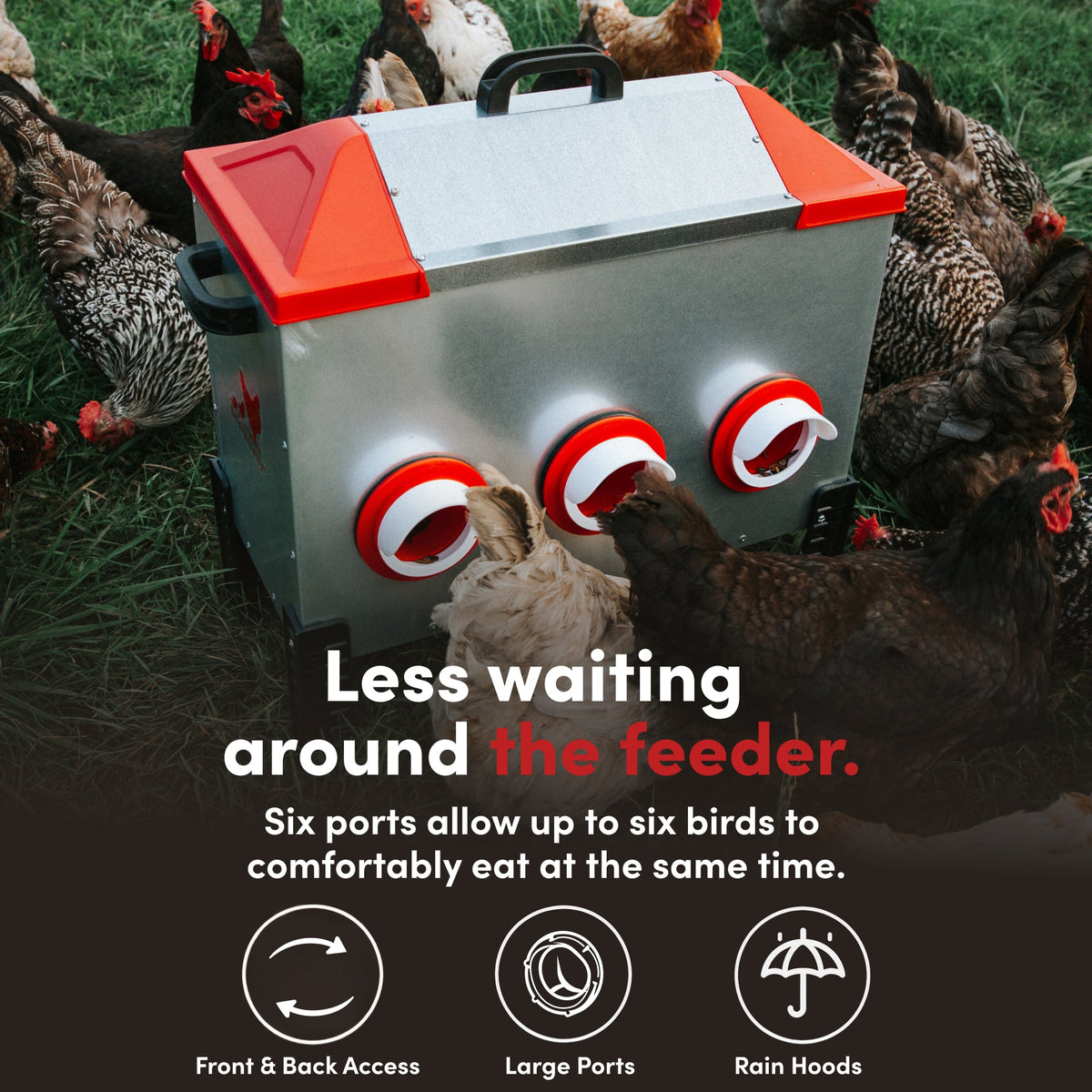 RentACoop Flock Feeder 65 6-Port Feeder with multiple feeding ports, made of durable material for poultry feeding.