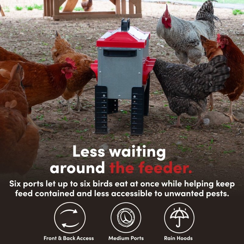RentACoop Flock Feeder 15 6-Port 15lb poultry feeder with multiple feeding ports for chickens or small flock.