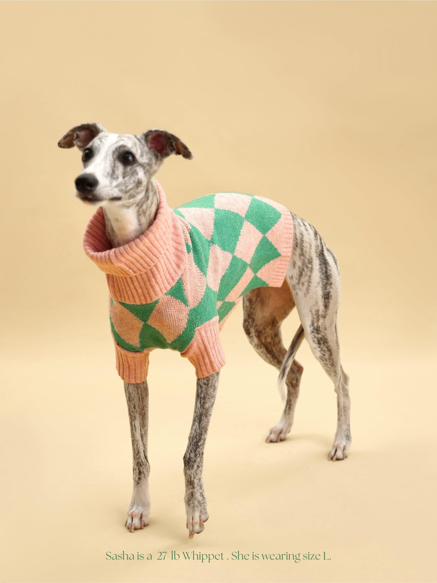 BarkBarkBaby Sunday Brunch in Brooklyn sweater with colorful brunch print on soft knit fabric.