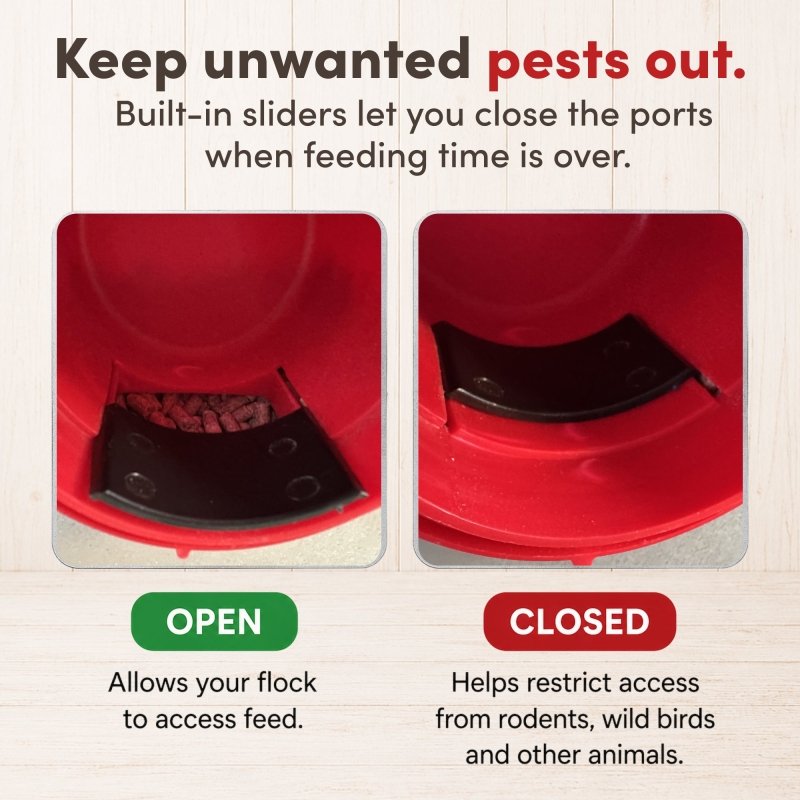 RentACoop Flock Feeder 15 with 6 ports, 15lb capacity, durable poultry feeder for chickens and small flocks.