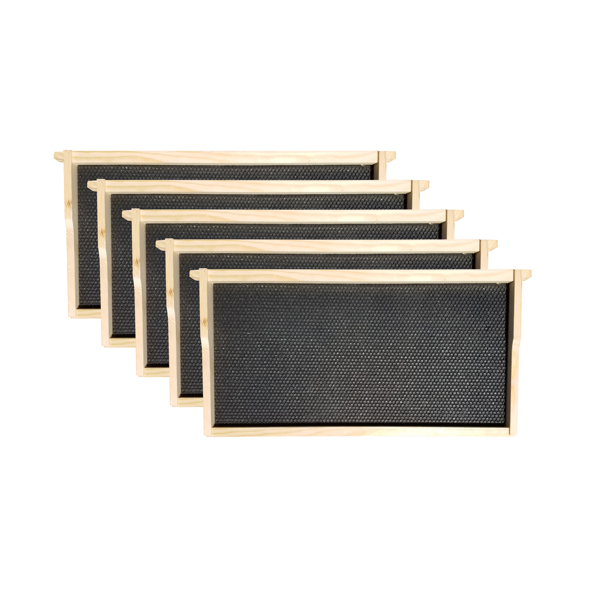Amish-made Galena Farms 10-frame beehive starter kit with five deep wood frames and foundations for beekeeping.