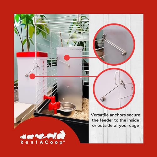 Small animal metal trough and water drinker set for rabbits, 5-pound capacity, by RentACoop, featuring a durable feeding and watering system.