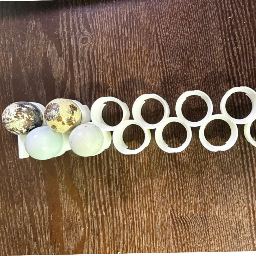 Jumbo quail egg rails for Cimuka® and Hatching Time® CT-Series incubators, designed to securely hold quail eggs during incubation.