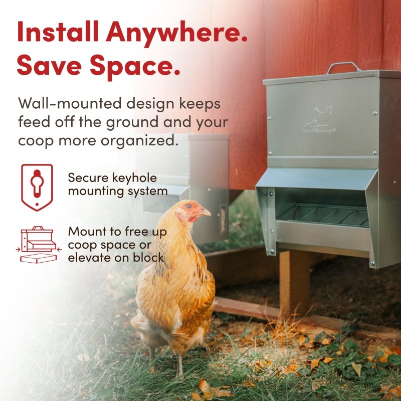 RentACoop galvanized chicken feeder with 25lb capacity, durable metal construction, and adjustable feed opening for poultry.
