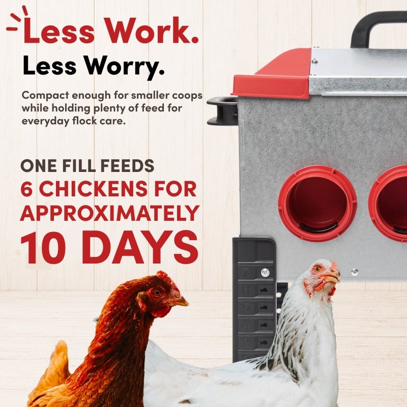 RentACoop Flock Feeder 15 6-Port 15lb chicken feeder with multiple ports for easy grain access in a farm setting.