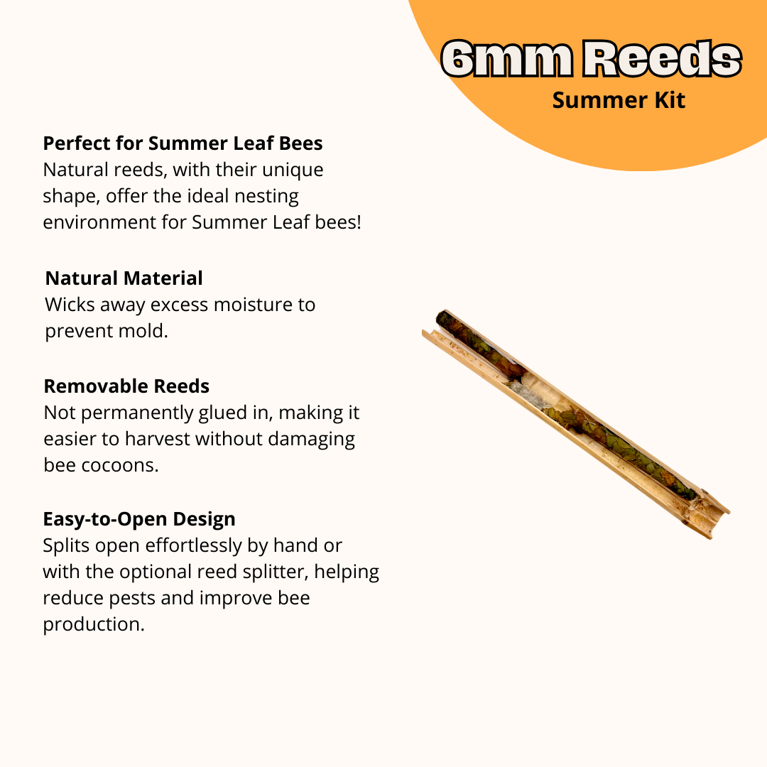 CrownBees Cabana Bee House and complete bee kit with certificate, featuring wooden bee habitat and accessories for backyard beekeeping.