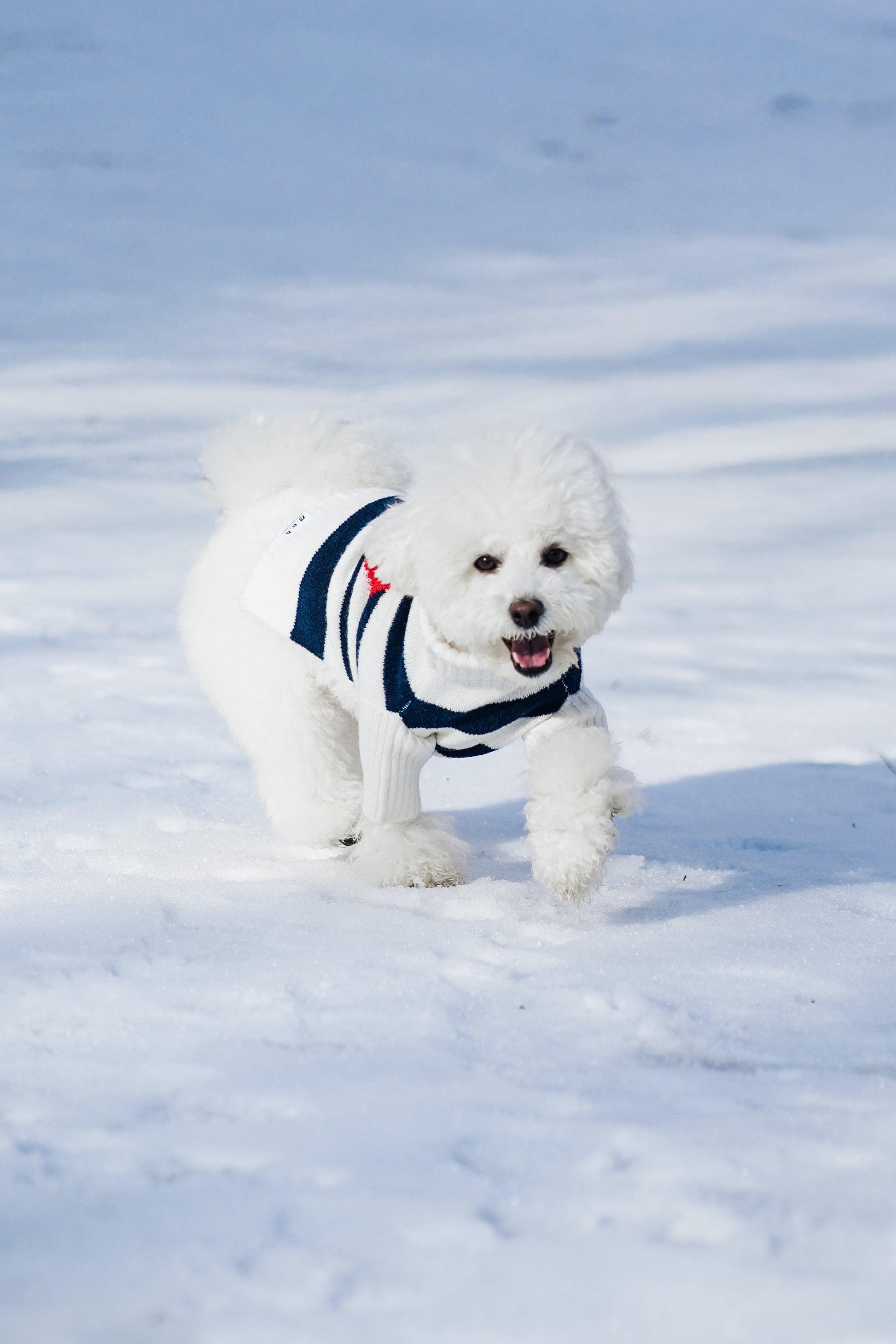 BarkBarkBaby sailor of my heart striped turtleneck sweater for kids, featuring navy and white horizontal stripes and a cozy fit.