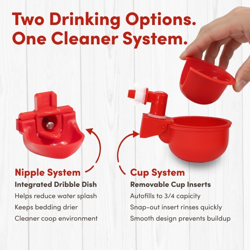 RentACoop 2-gallon highrise chicken waterer with auto-fill cups and horizontal nipples, designed for easy watering of hens.