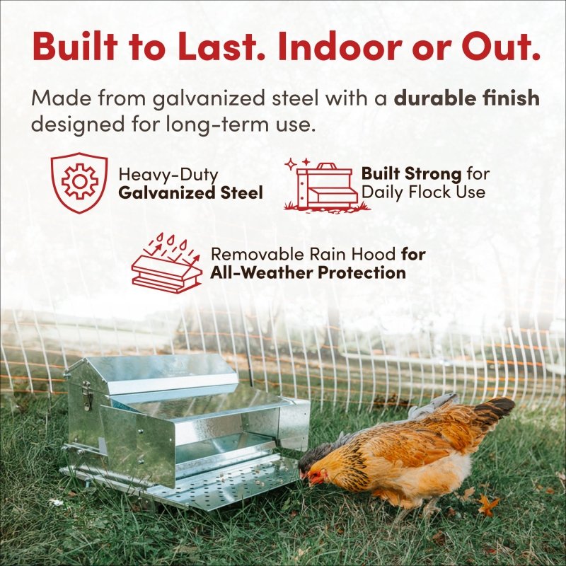 RentACoop 25lb metal treadle feeder for poultry, automatic feeding and watering system with durable metal construction.