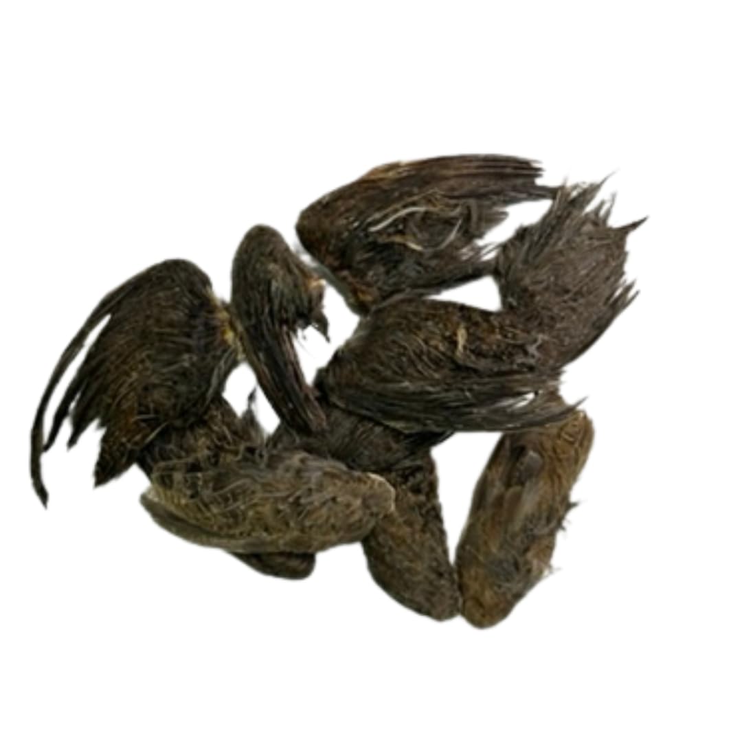 Small Quail Wings for dog training by Quailz.com, showing 10 natural pet treats with fresh, crispy-looking bird wings.