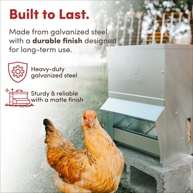 RentACoop galvanized chicken feeder with 25lb capacity, durable metal design for poultry feed storage and dispensing.