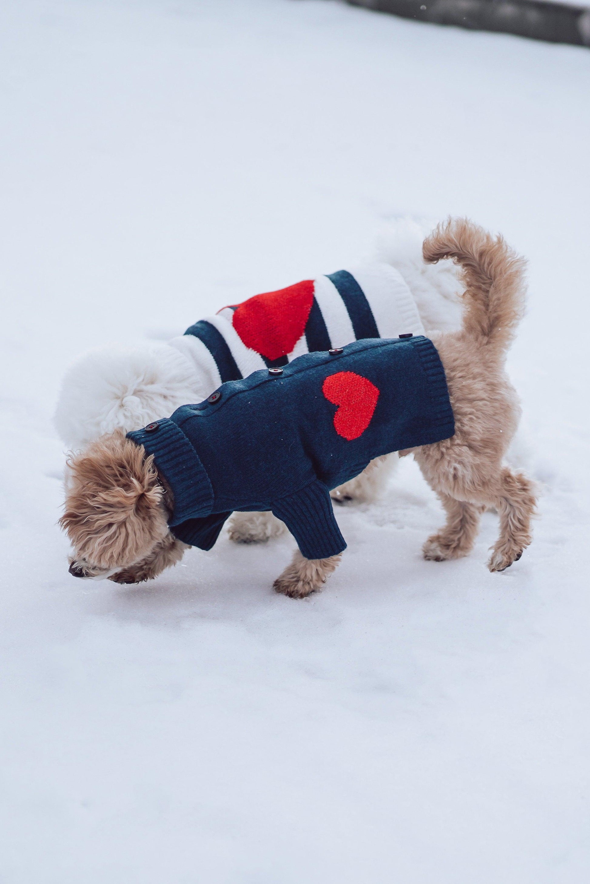 BarkBarkBaby sailor of my heart striped turtleneck sweater featuring navy and white horizontal stripes and a cozy fit for kids