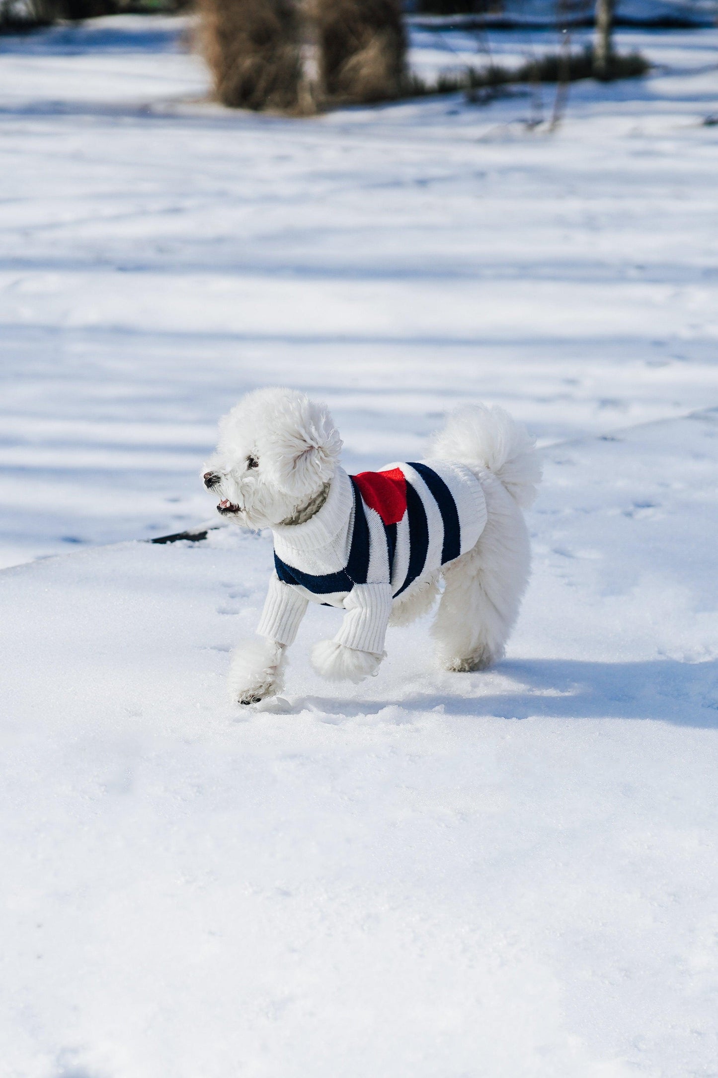 BarkBarkBaby sailor of my heart striped turtleneck sweater, cozy knit with navy and white stripes, perfect for kids.