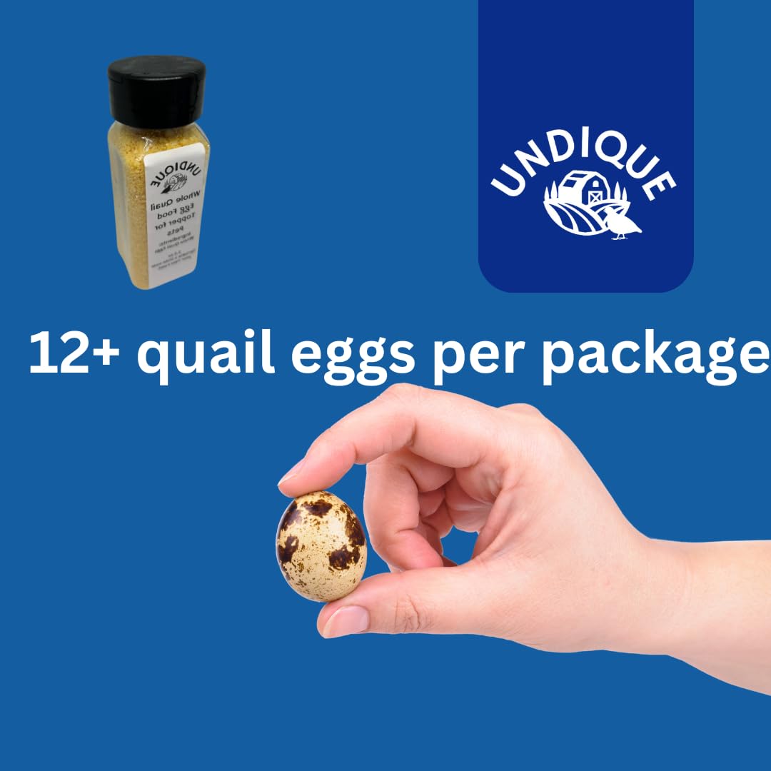 High-protein Quailicious Boost cat food topper from Quailz.com, featuring freeze-dried quail eggs in a resealable package.