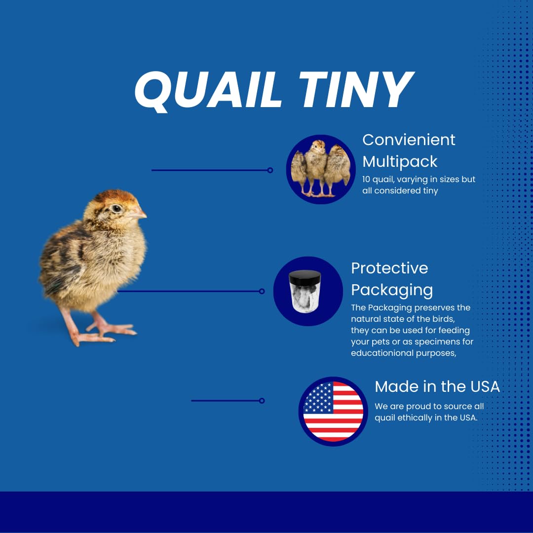 Dehydrated quail whole chick treats for cats and dogs, 10-pack, small premium natural pet treats by Quailz.com.