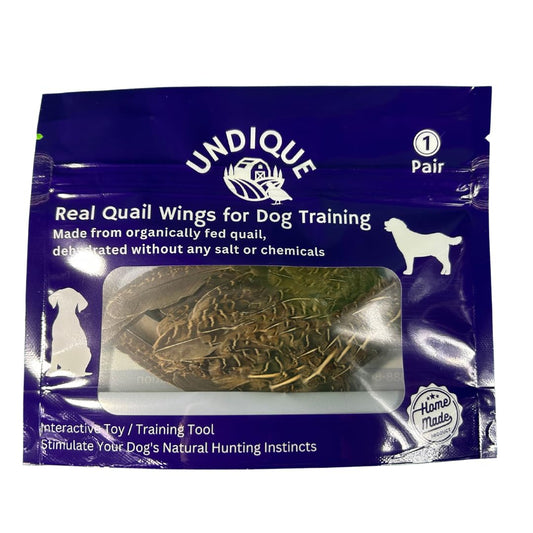 Pair of Quail Wings for dog training with authentic bird scent, ideal for scent and hunting training, from Quailz.com by Undique LLC