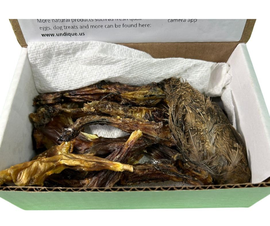 Quailz.com dog training kit with nutritious quail wing treats for effective training, not suitable for small breeds.