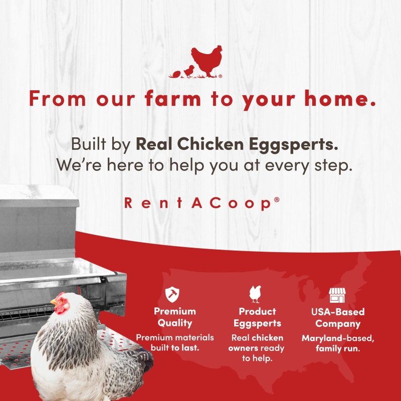RentACoop 40 lb automatic treadle chicken feeder showing metal feed trough and treadle lid for poultry feeding.
