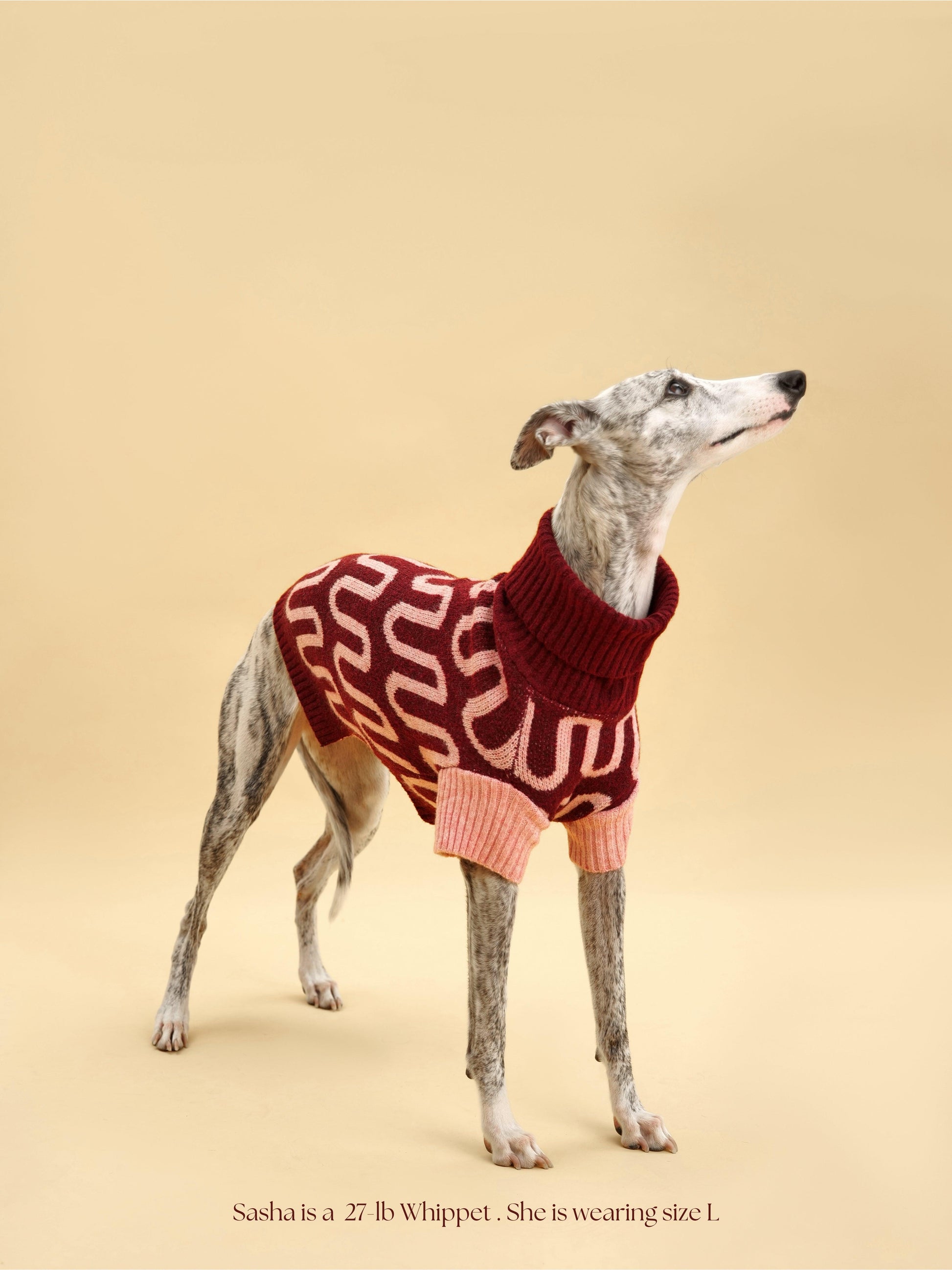 Pink Rosé Bliss Sweater by BarkBarkBaby, soft knit fabric, cozy fit, with ribbed cuffs and a stylish design.