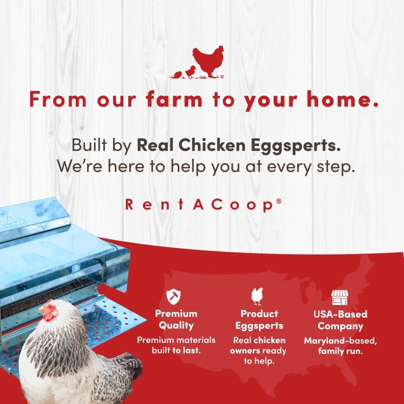 RentACoop 25lb automatic metal treadle poultry feeder for chickens, featuring durable construction and easy access for feeding.