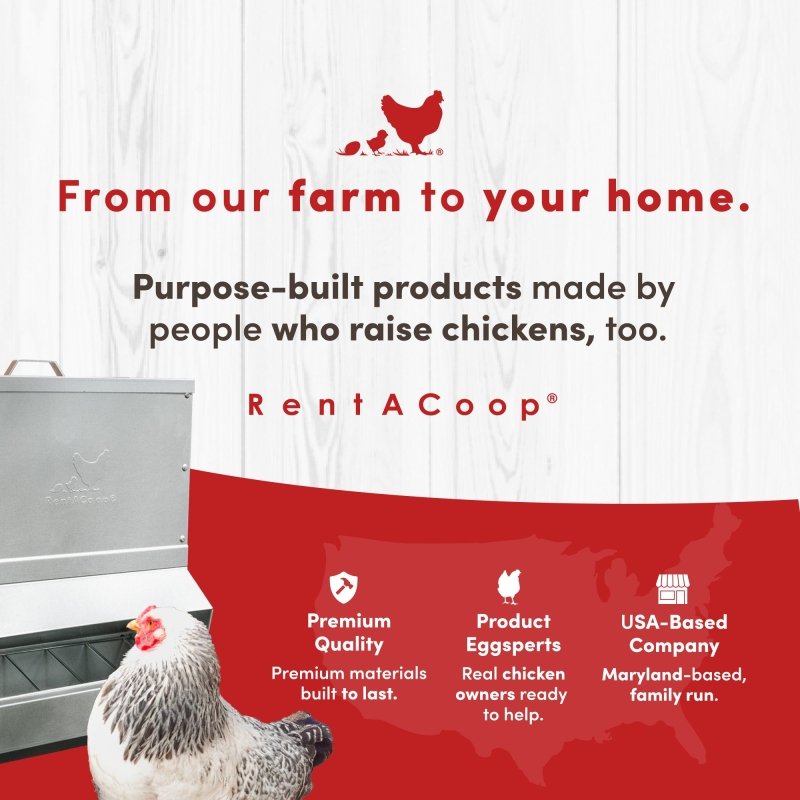 RentACoop galvanized chicken feeder for 25lb capacity, durable metal construction with a trough for easy feeding of poultry.