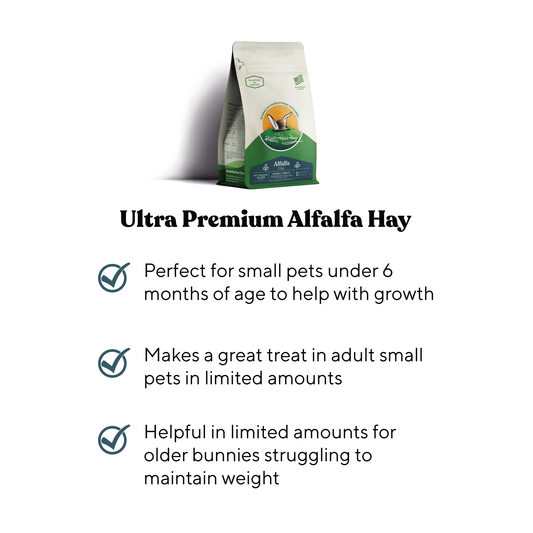 Rabbit Hole Hay Ultra Premium Alfalfa Hay in a clear bag, showing lush green alfalfa suitable for small pets and rabbits.