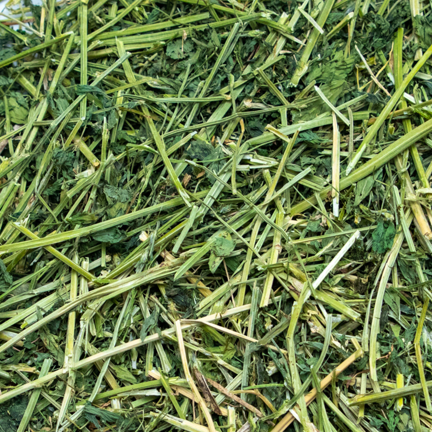 Close-up of Rabbit Hole Hay Ultra Premium Alfalfa Hay, fresh green hay with leafy texture for small animals.