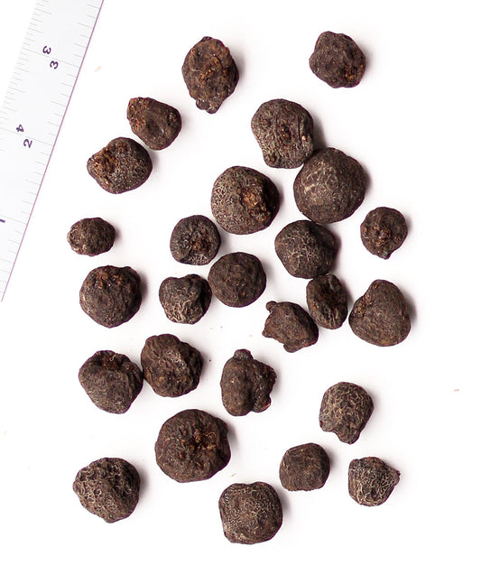 White Splendor Anemone blanda bulbs by BloomingBulb, showing 25 fresh flower bulbs ready for planting in spring.