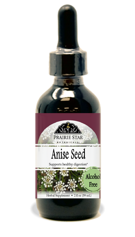 Close-up of Prairie Star Botanicals anise seed in a small glass jar, showing the star-shaped seeds used for cooking and baking.