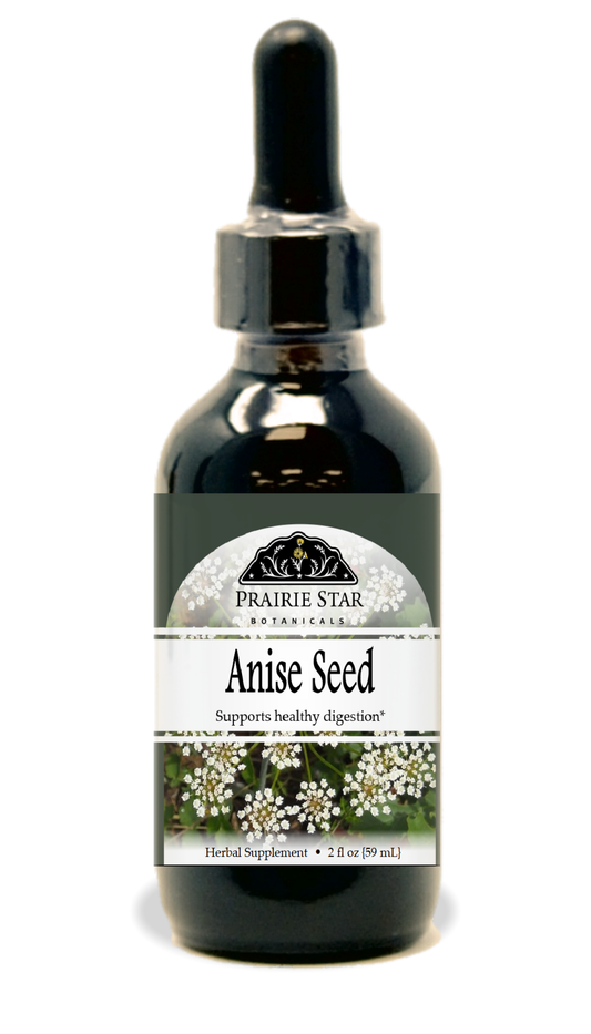 Single Prairie Star Botanicals anise seed image showing small, brown, star-shaped spice seeds on a plain background.