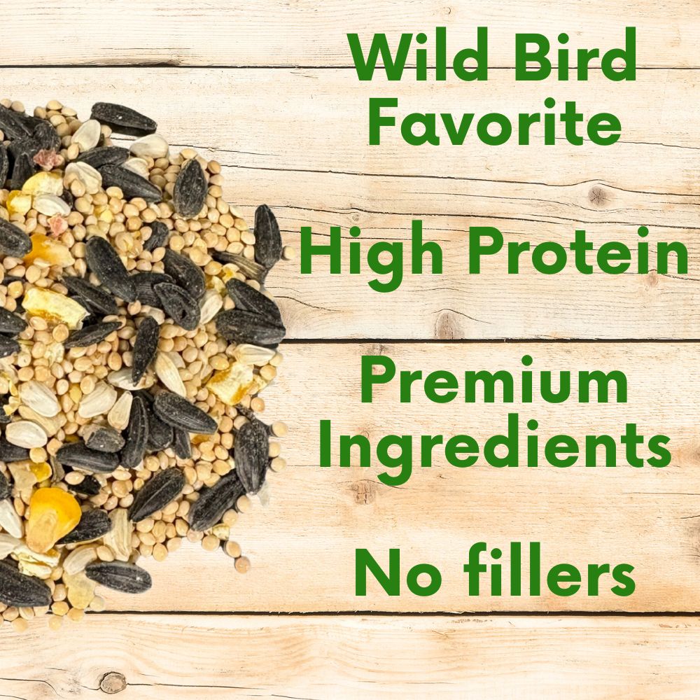 Wild bird and pollinator seed meadow mix from Flawn Seed Kits, lush garden with diverse native flowers and grasses.