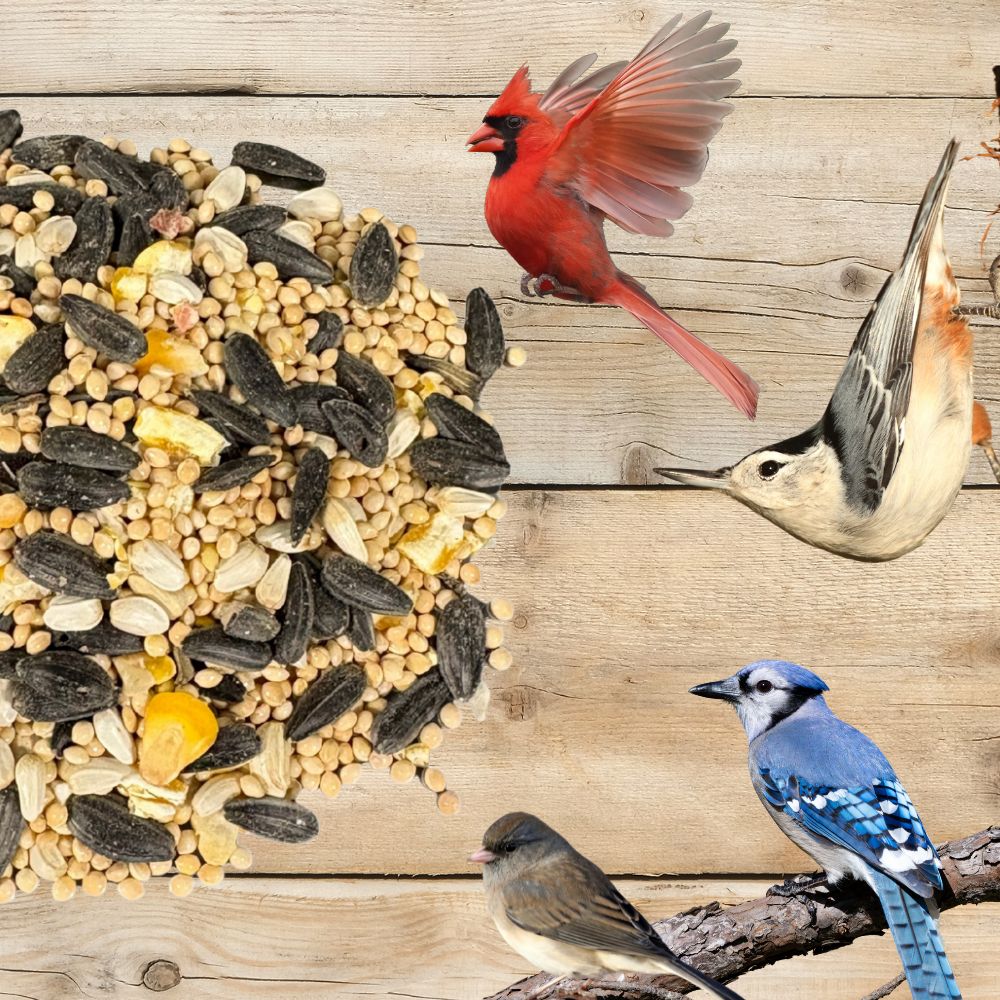 Wild bird and pollinator seed meadow mix from Flawn Seed Kits, showing a lush, diverse wildflower area for birds and bees.