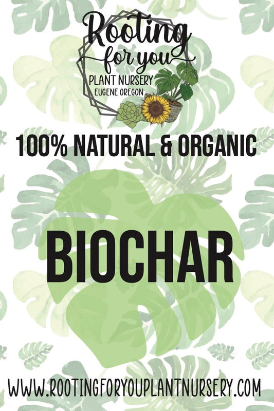 BioChar soil amendment by Rooting For You Plant Nursery showing dark, porous biochar compost for enriching garden soil.