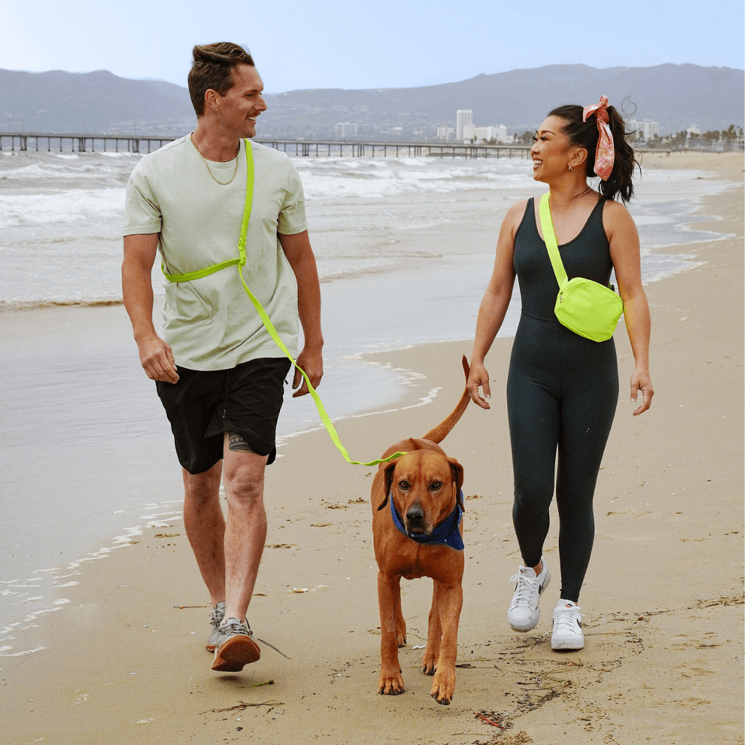 Tilley + Me waterproof PVC dog collar with durable, odor-resistant Biothane material for all-weather use.