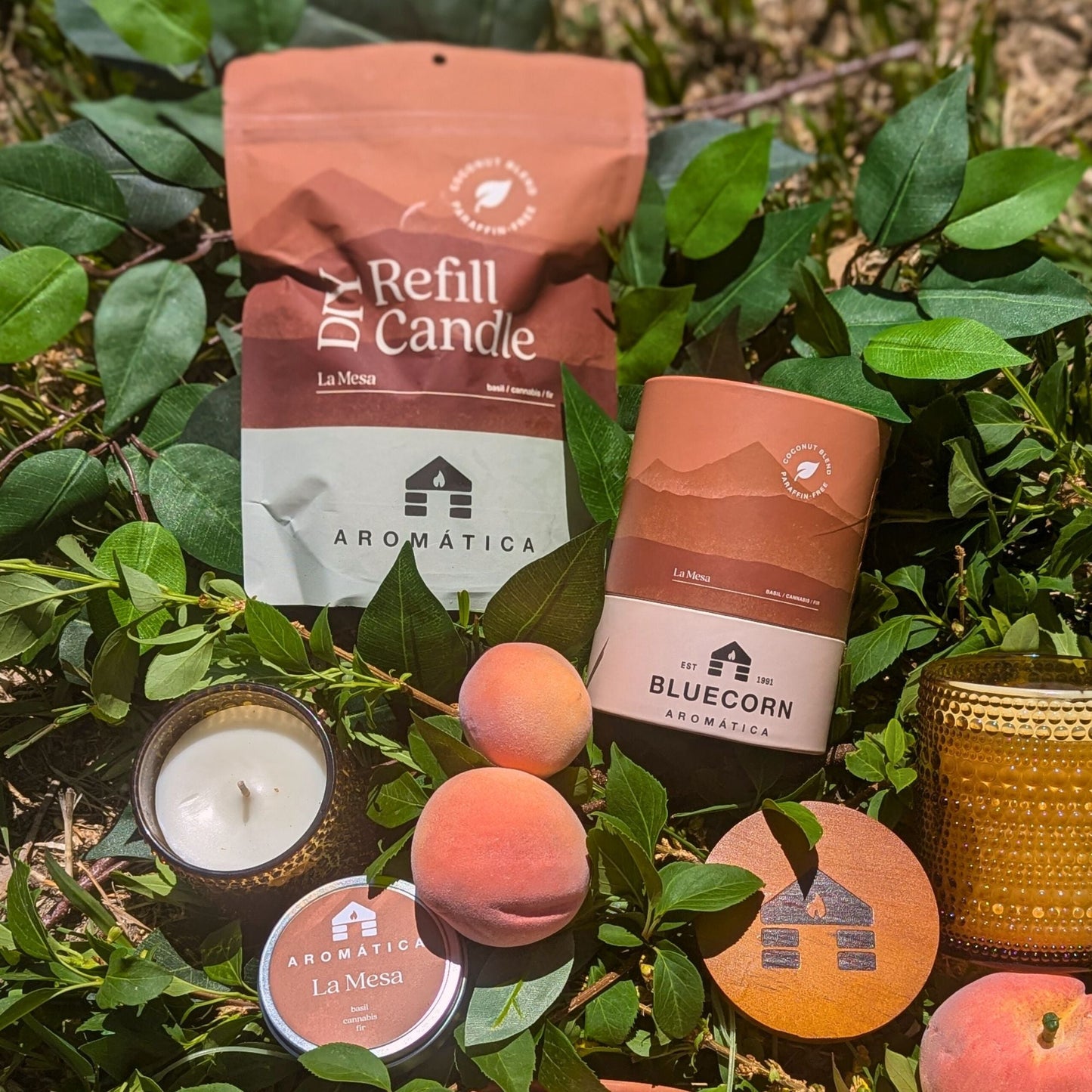Bluecorn Candles Aromática scented candle refill kit with green coconut wax candles and natural flame design.