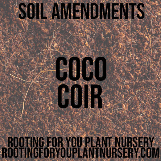 Organic Hydrated Coco Coir soil amendment in resealable 8oz bag, ideal for plant growth, from Rooting For You Plant Nursery.