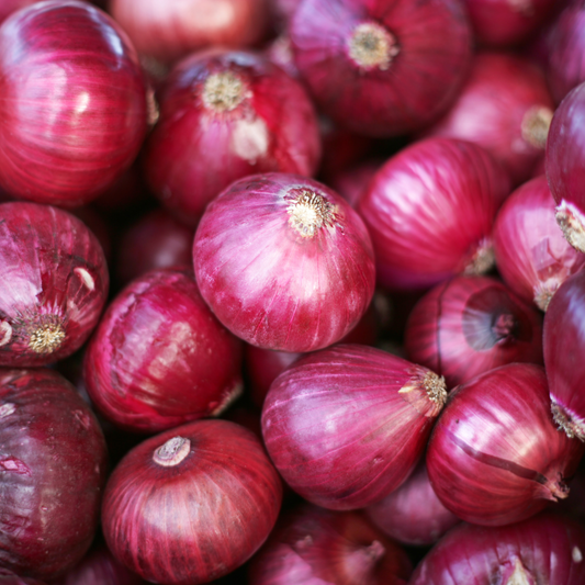Intermediate to long-day Cabernet onion plants from The Farm On Central, showing healthy green onion bulbs and foliage.